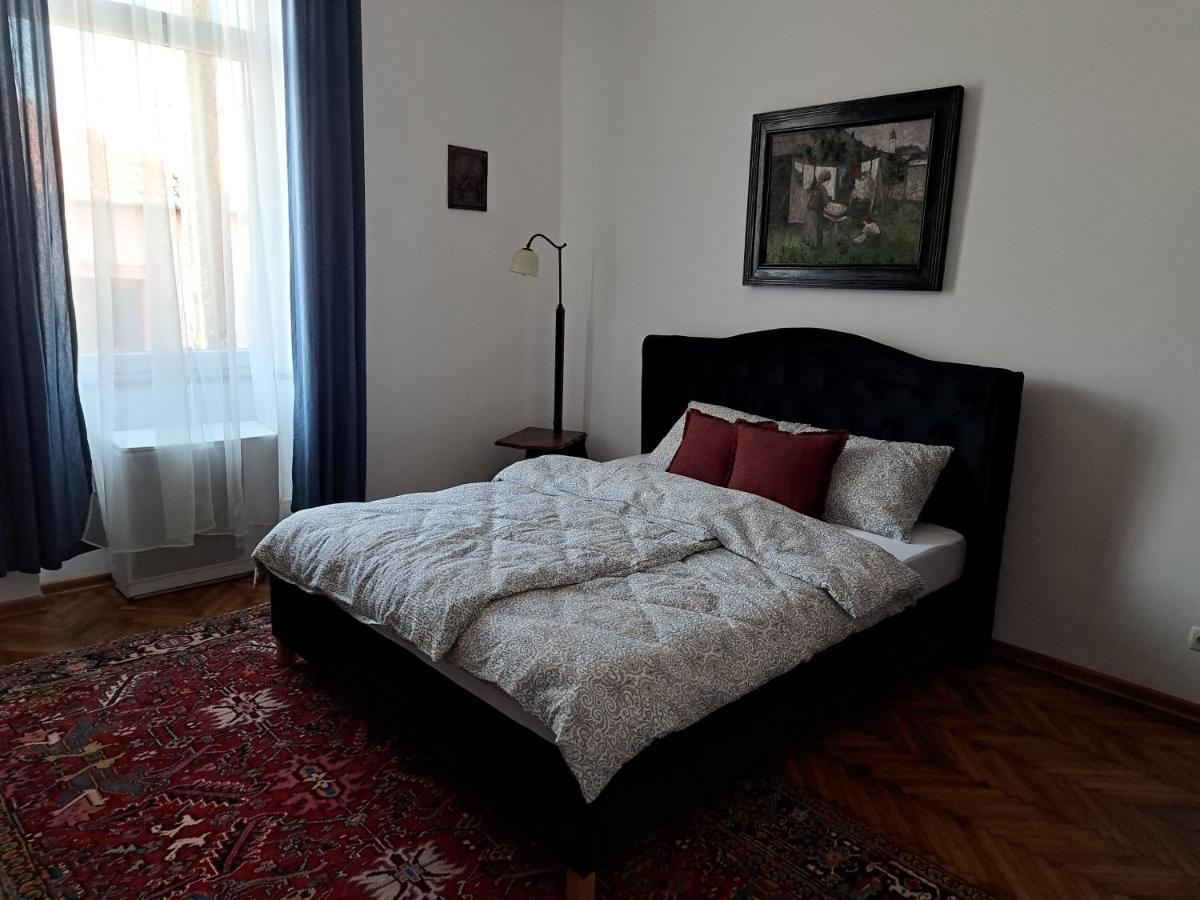 Weisz Apartment-City Center-Free Private Parking,Wifi,Ac Carei Esterno foto