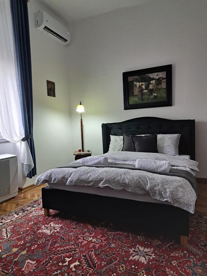 Weisz Apartment-City Center-Free Private Parking,Wifi,Ac Carei Esterno foto